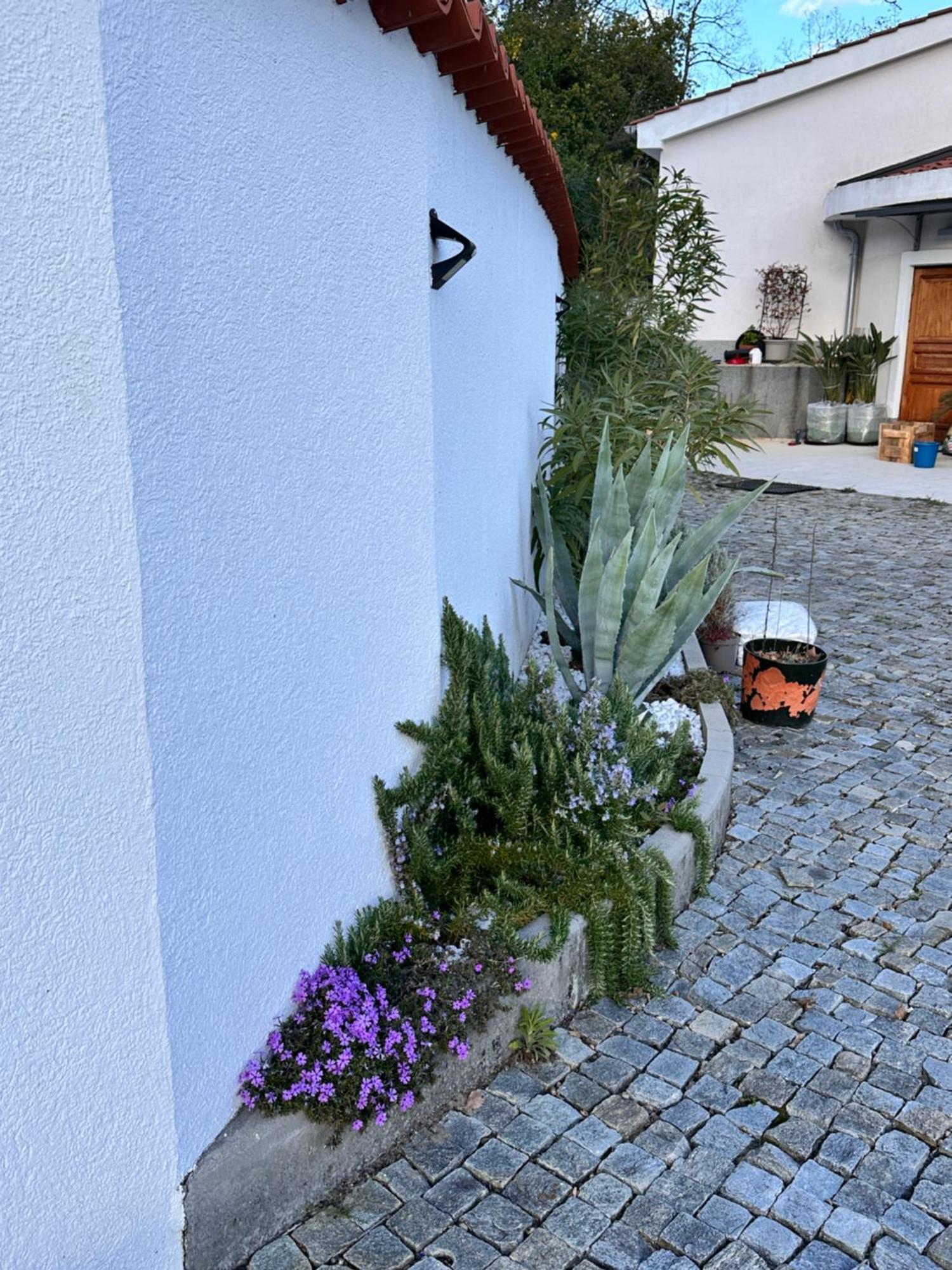 Dreamtime - One Badroom And 1 Livingroom Apartment Veprinac Exterior photo